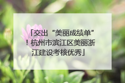 交出“美丽成绩单”！杭州市滨江区美丽浙江建设考核优秀