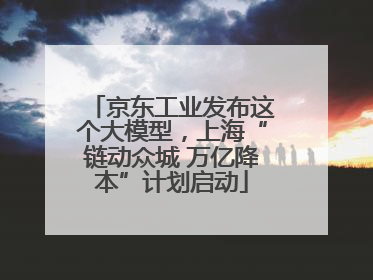 京东工业发布这个大模型，上海“链动众城 万亿降本”计划启动