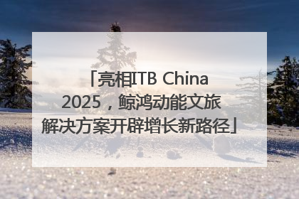 亮相ITB China 2025，鲸鸿动能文旅解决方案开辟增长新路径