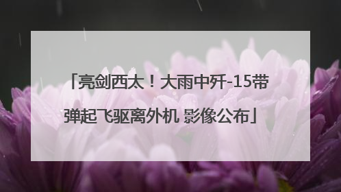 亮剑西太！大雨中歼-15带弹起飞驱离外机 影像公布
