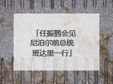任振鹤会见尼泊尔前总统班达里一行