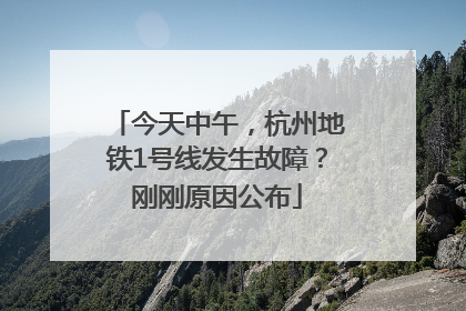 今天中午，杭州地铁1号线发生故障？刚刚原因公布