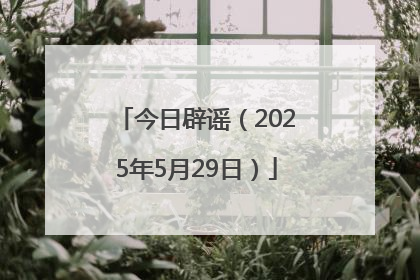 今日辟谣（2025年5月29日）