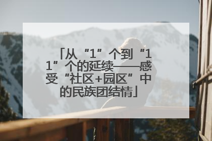 从“1”个到“11”个的延续——感受“社区+园区”中的民族团结情