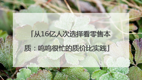 从16亿人次选择看零售本质：鸣鸣很忙的质价比实践