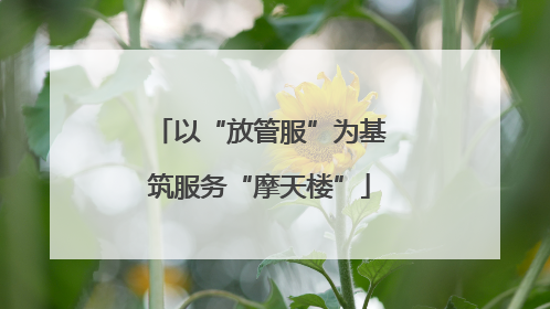 以“放管服”为基筑服务“摩天楼”