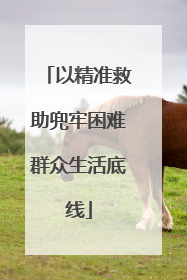 以精准救助兜牢困难群众生活底线