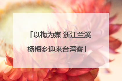 以梅为媒 浙江兰溪杨梅乡迎来台湾客