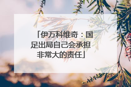 伊万科维奇：国足出局自己会承担非常大的责任