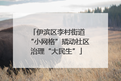 伊滨区李村街道 “小网格”撬动社区治理“大民生”