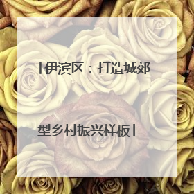 伊滨区：打造城郊型乡村振兴样板