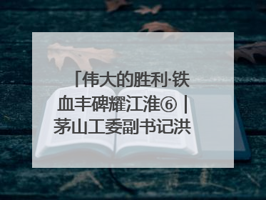 伟大的胜利·铁血丰碑耀江淮⑥｜茅山工委副书记洪天诚的亲笔信