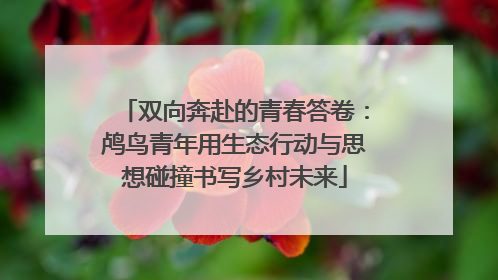双向奔赴的青春答卷：鸬鸟青年用生态行动与思想碰撞书写乡村未来