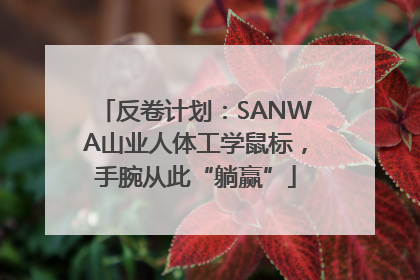 反卷计划：SANWA山业人体工学鼠标，手腕从此“躺赢”