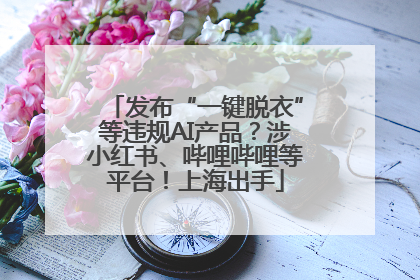 发布“一键脱衣”等违规AI产品？涉小红书、哔哩哔哩等平台！上海出手