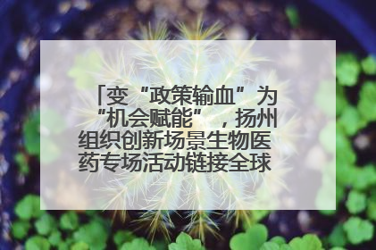变“政策输血”为“机会赋能”，扬州组织创新场景生物医药专场活动链接全球“隐形冠军”