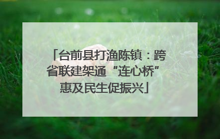 台前县打渔陈镇：跨省联建架通“连心桥” 惠及民生促振兴