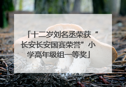 十二岁刘名丞荣获“长安长安国赛荣誉”小学高年级组一等奖