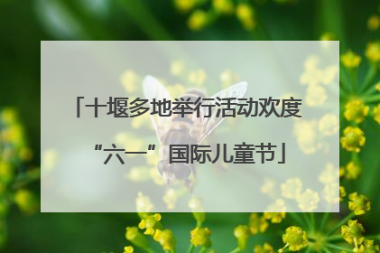 十堰多地举行活动欢度“六一”国际儿童节