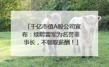千亿市值A股公司宣布：续聘雷军为名誉董事长，不领取薪酬！