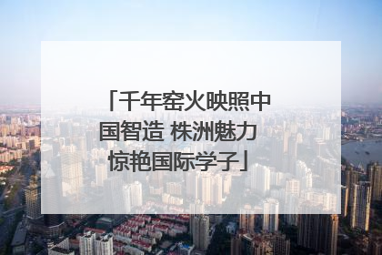 千年窑火映照中国智造 株洲魅力惊艳国际学子