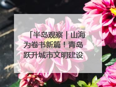 半岛观察｜山海为卷书新篇！青岛跃升城市文明建设“新航线”