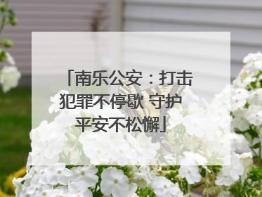 南乐公安：打击犯罪不停歇 守护平安不松懈