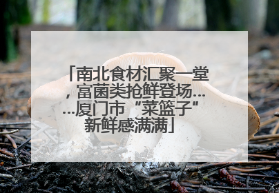 南北食材汇聚一堂，富菌类抢鲜登场……厦门市“菜篮子”新鲜感满满