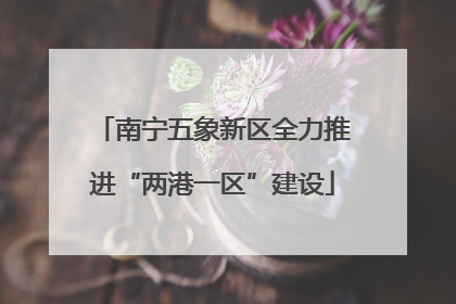 南宁五象新区全力推进“两港一区”建设