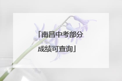 南昌中考部分成绩可查询