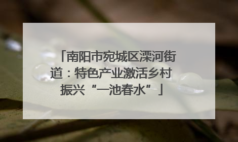 南阳市宛城区溧河街道：特色产业激活乡村振兴“一池春水”