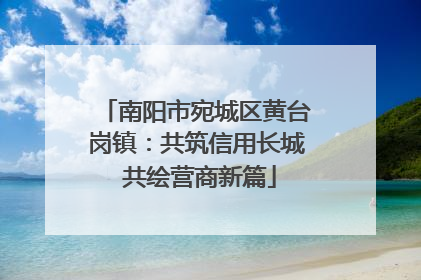 南阳市宛城区黄台岗镇：共筑信用长城 共绘营商新篇