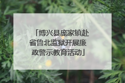 博兴县庞家镇赴省鲁北监狱开展廉政警示教育活动