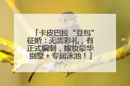 卡皮巴拉“豆包”征婚：无需彩礼，有正式编制，嫁妆豪华别墅＋专属泳池！