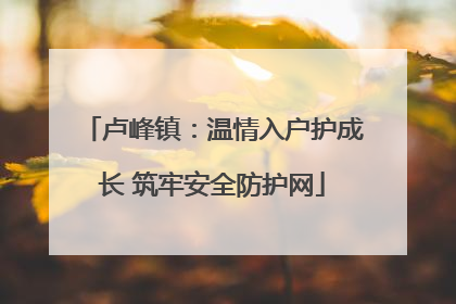 卢峰镇：温情入户护成长 筑牢安全防护网
