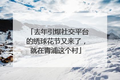 去年引爆社交平台的绣球花节又来了，就在青浦这个村