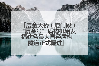 厦金大桥（厦门段）“厦金号”盾构机始发 福建省最大直径盾构隧道正式掘进