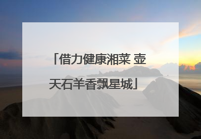 借力健康湘菜 壶天石羊香飘星城