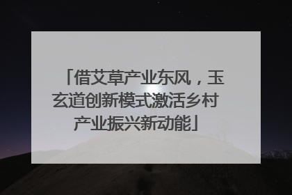 借艾草产业东风，玉玄道创新模式激活乡村产业振兴新动能
