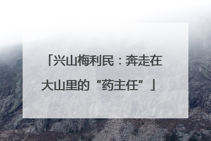 兴山梅利民：奔走在大山里的“药主任”