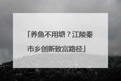 养鱼不用塘？江陵秦市乡创新致富路径