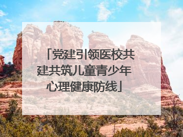党建引领医校共建共筑儿童青少年心理健康防线