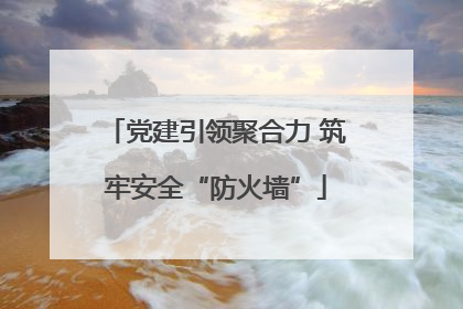 党建引领聚合力 筑牢安全“防火墙”