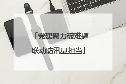 党建聚力破难题 联动防汛显担当