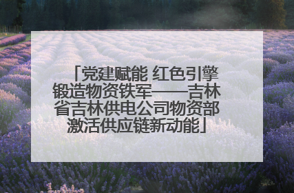 党建赋能 红色引擎锻造物资铁军——吉林省吉林供电公司物资部激活供应链新动能