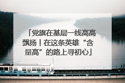 党旗在基层一线高高飘扬丨在这条英雄“含量高”的路上寻初心