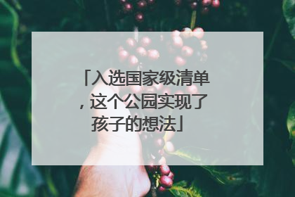 入选国家级清单，这个公园实现了孩子的想法