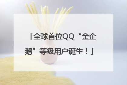 全球首位QQ“金企鹅”等级用户诞生！