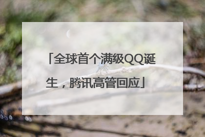 全球首个满级QQ诞生，腾讯高管回应