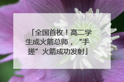 全国首枚！高二学生成火箭总师，“手搓”火箭成功发射